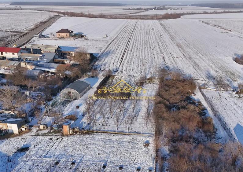 Teren, 7470 mp Trestieni Ulmi si casa - 3