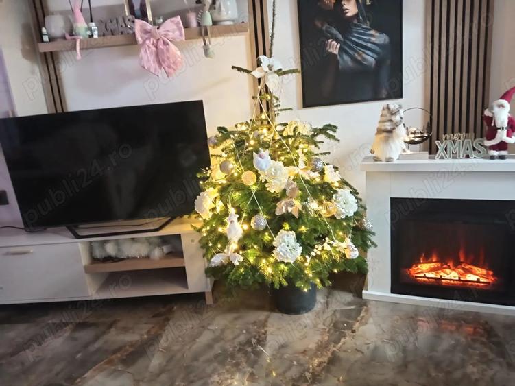 Casa de vanzare - 10