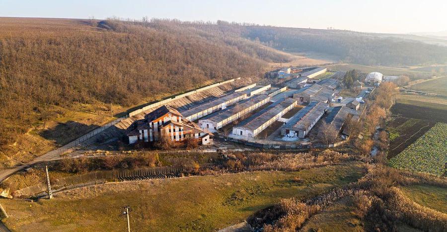 Fosta Ferma a Partidului de la Horgesti - de vanzare - 14