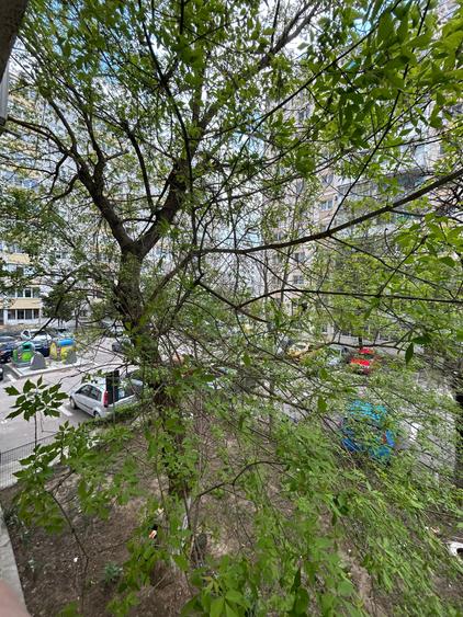 Apartamentul tau din Grigorescu - 10