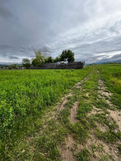 Teren extravilan de vânzare – 2.800 mp, Livezile, județul Bistrița-Năsăud - 1