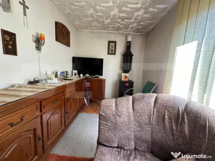 Casa saseasca de vanzare, curte, gradina, teren 3000 mp - Ji - 8