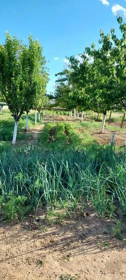 Casa de vanzare in Slatina, cartier Clocociov - 3