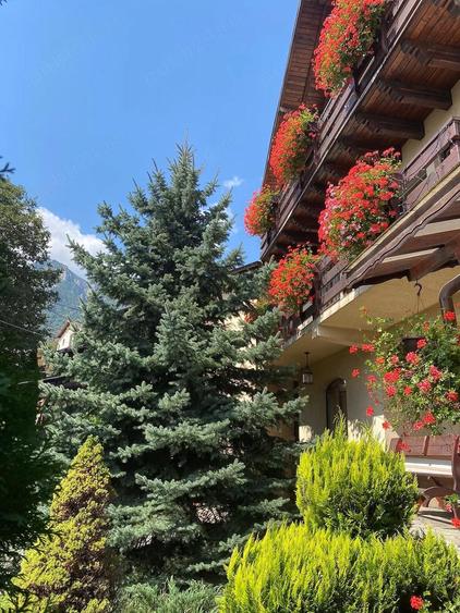 De vanzare Urgent Pensiune si o vila - 4