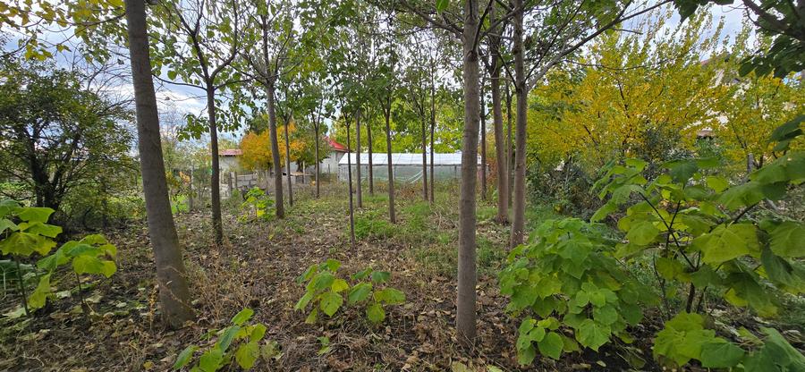 Teren  715  mp  intravilan Petresti - 10