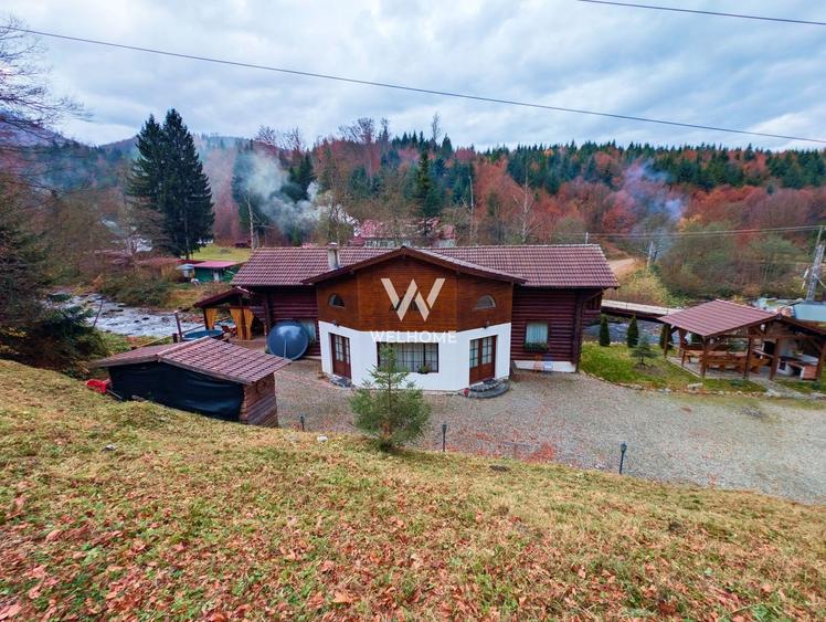 Cabana / Casa de vacanta pe Transfagarasan - Sibiu - 14