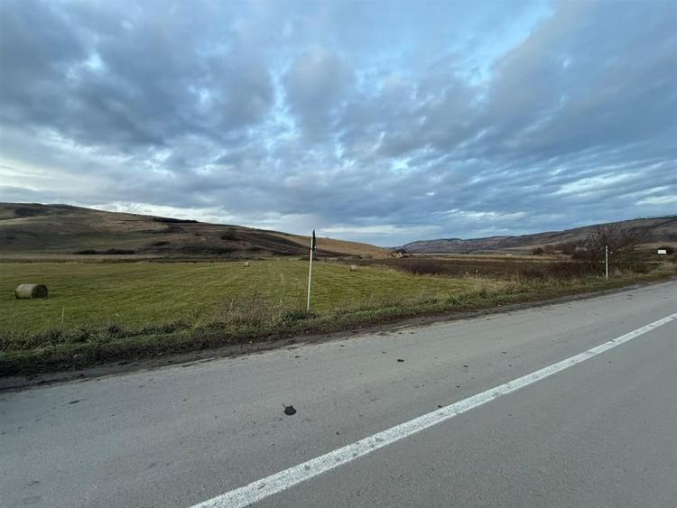 Teren Extravilan I 6000 Mp I Acces la drum | Cojocna - 4