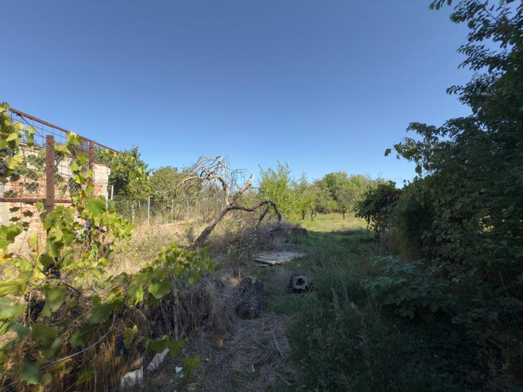 Casa 3 camere , teren 1438 mp - Fratelia - 6