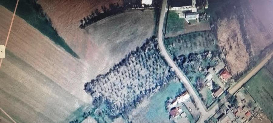 Vand 4000 mp teren intravilan, sat Crangurile de Sus, jud Dambovita - 4