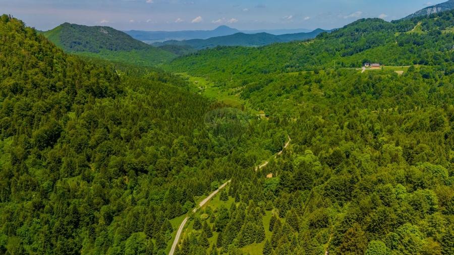 Teren extravlan 14,400mp Paraul Rece / Strada 3 brazi - 2