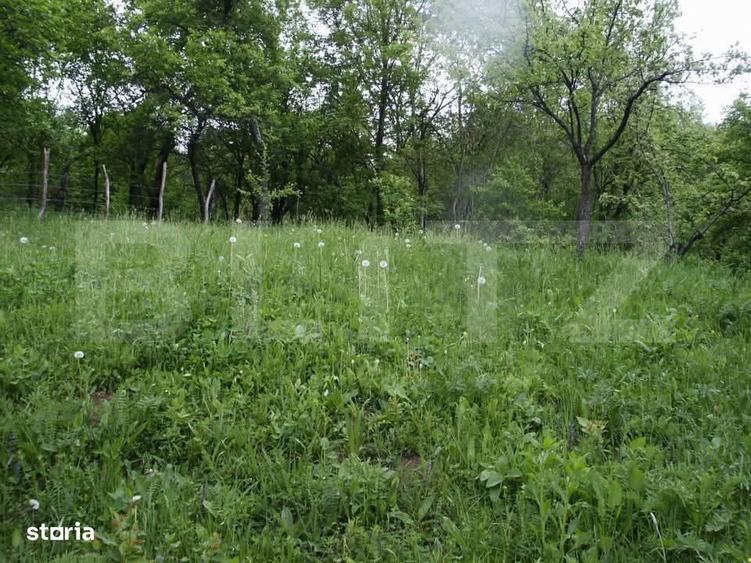 Teren de vanzare, 884 mp, zona Runcu - 3