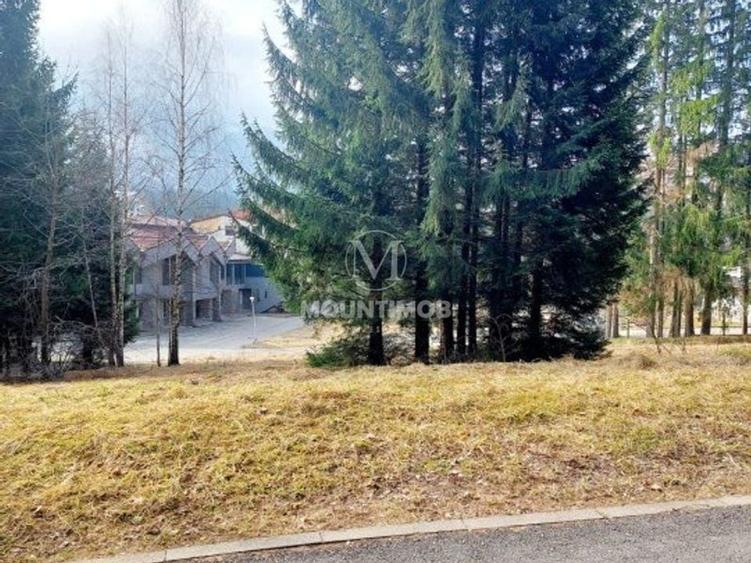 Teren intravilan în Poiana Brașov, strada Poiana Ruia - 3