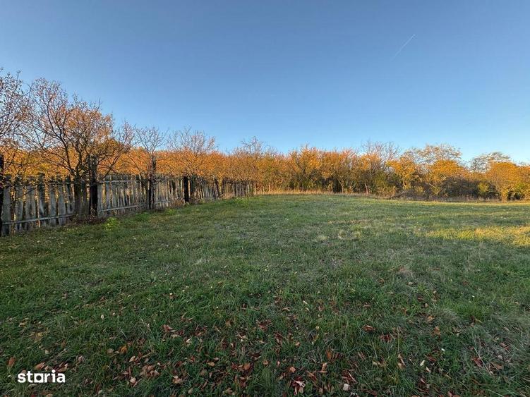 Teren intravilan 3323 Husasau de Cris - 3