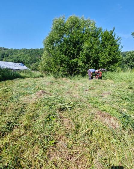 Teren intravilan 4.183 mp Cobia, sat Mislea ie?ire - 10