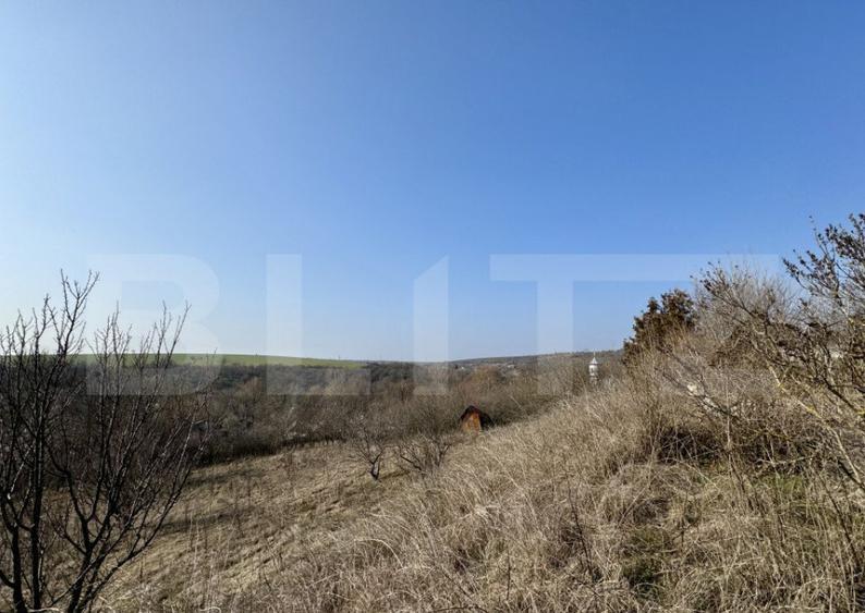 Conac cu teren intravilan 8759 mp, priveliste panoramica, Ci - 12