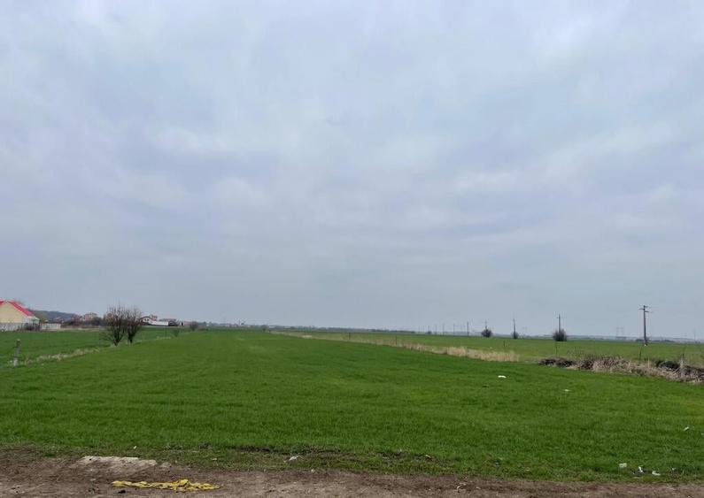 Teren Bolintin Deal 2000 mp New 2026 - 3