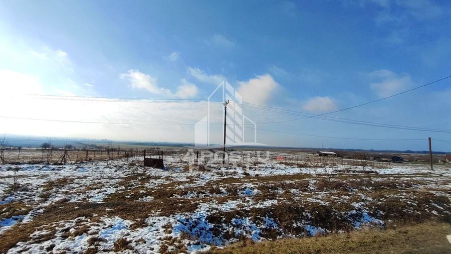 Teren intravilan 5.000 mp, Sebis Arad, investitie turism Romania - 3