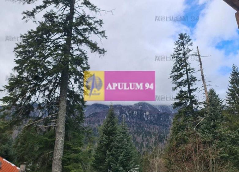 Vilă de vânzare in Sinaia - Zona Cumpătu - 26