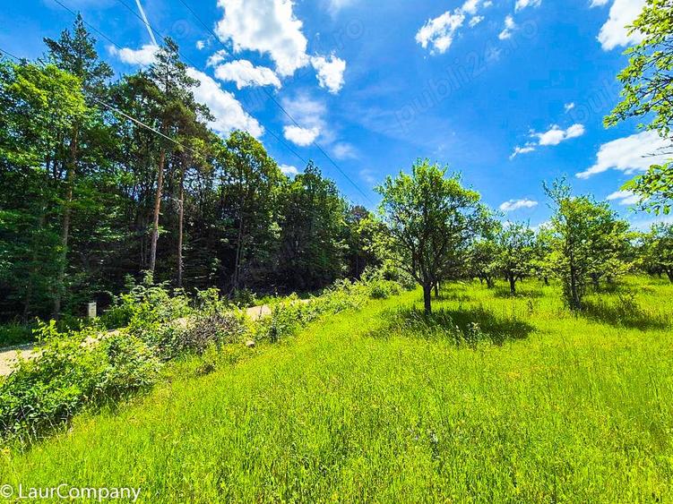 Teren intravilan Cotmeana Arges - 3