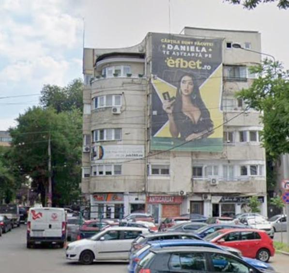 Vanzare  2 cam Pache Protopopescu - 1