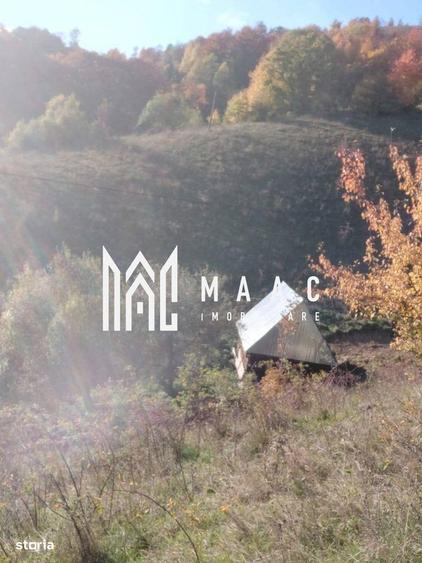 Super oferta 35000 teren in Muntii Apuseni - 4