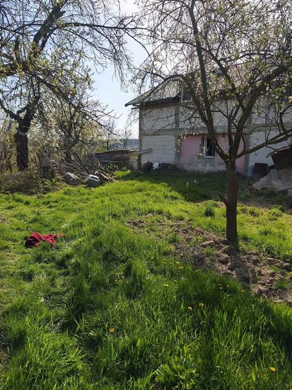 Proprietate completa 0,9 ha Casa P+1 + foi?or + livada + padure in spate Boga?i, Arge? - 1