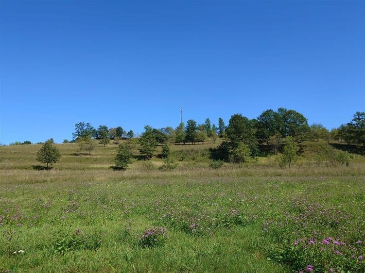 Teren intravilan 8757 mp cu potential turistic si acces direct la E79 - 6