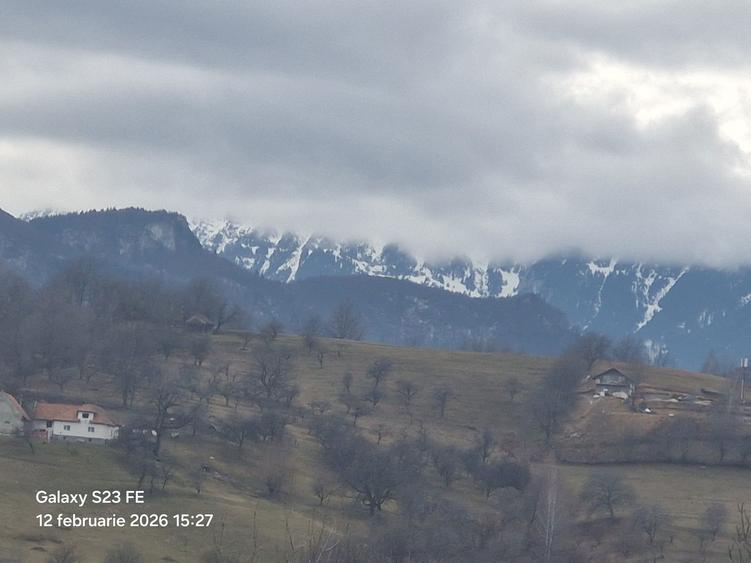 Teren de vanzare - 4