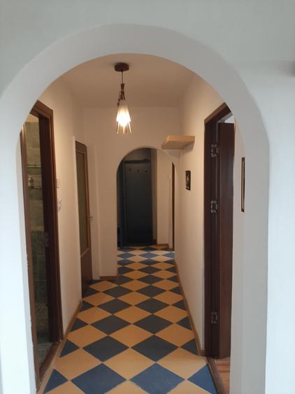 Piata Muncii-Campia Libertatii stradal - 9