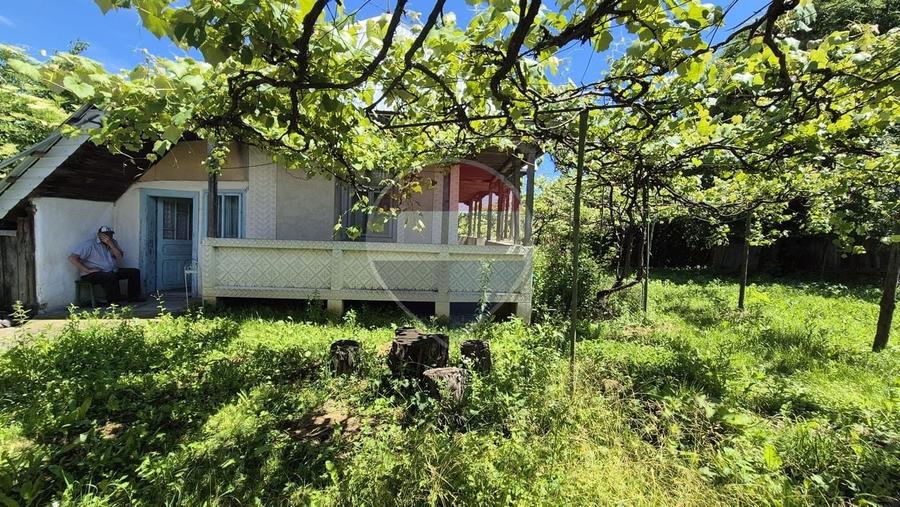 Teren Construcții intravilan de 3509 mp, în Răucești