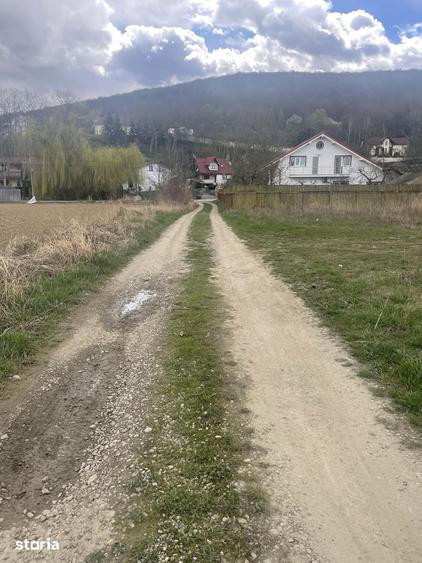Teren de 700 mp, în Hemeiuș