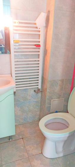 Chirie 200 euro| gara de nord bari?iu | centrala gaz | parter la casa - 9