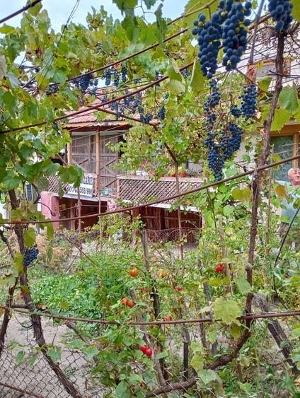 Casa Comuna Valea Mare, Jud Valcea - 4