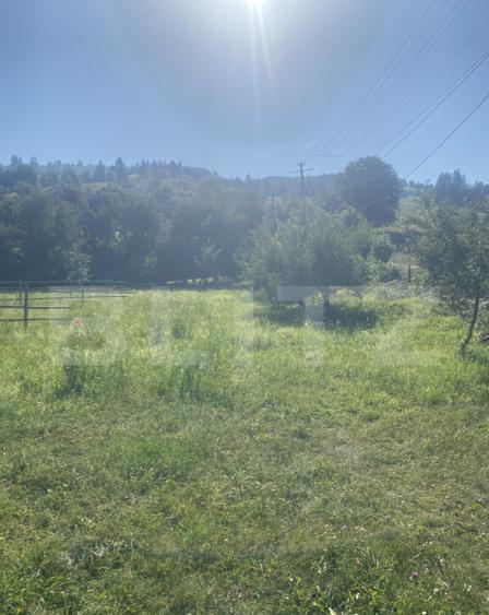 Teren in Doroteia, Plutoni?a, 3880 mp, intravilan - 1