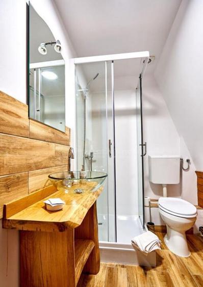 Pensiune traditionala cu clientela formata, Viseu de Sus, Ma - 12