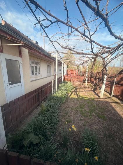 Vanzare casa - 5