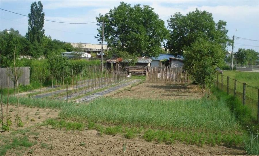 AZURA Imobiliare - Teren Auchan Gavana si Casa Bonus - 12