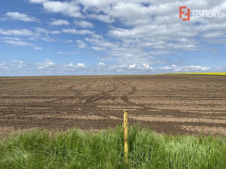 Teren Agricol | Opurtunitate investitie | Sananadrei - ID V713 - 4