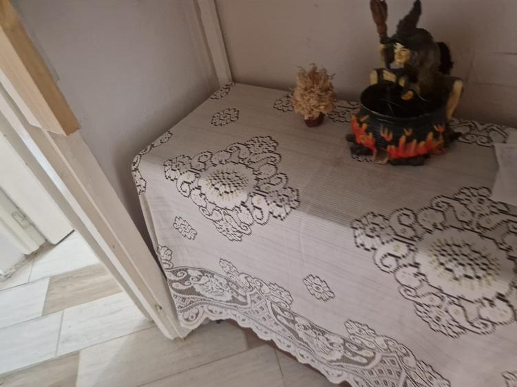 Pe frumoasa strada Platanilor, renumita pentru zona inverzita-zona IOSEFIN-mobil - 16