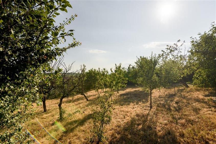 RECO Casa cu priveliste - 24