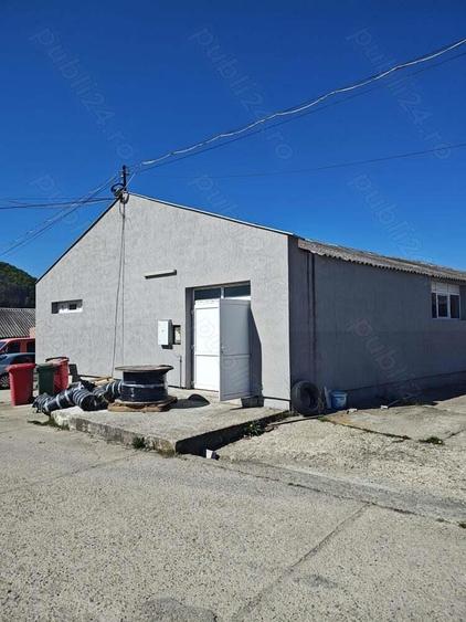 Hala la cheie Zona Vladesti - 1