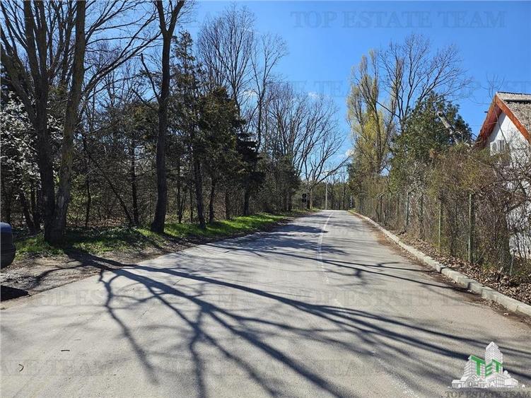 TEREN INTRAVILAN 24100 MP AGIGEA - 4