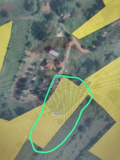 Teren constructii si faneata/livada 3082 mp Damis Bratca drum DJ 764D - 24