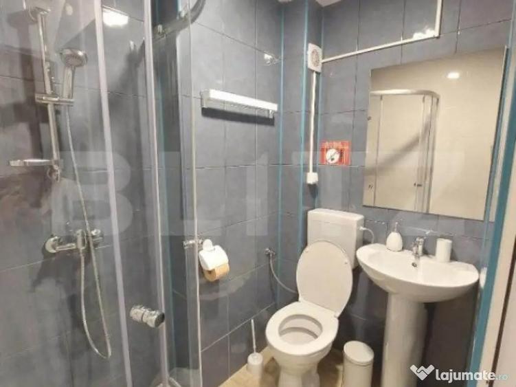 Afacere la cheie,Pensiune, Albert - 4