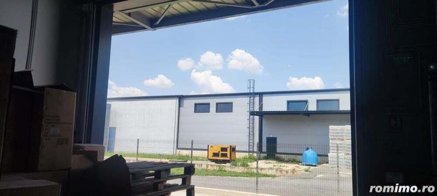 Hale noi 475 mp Afumati -Doraly - 9