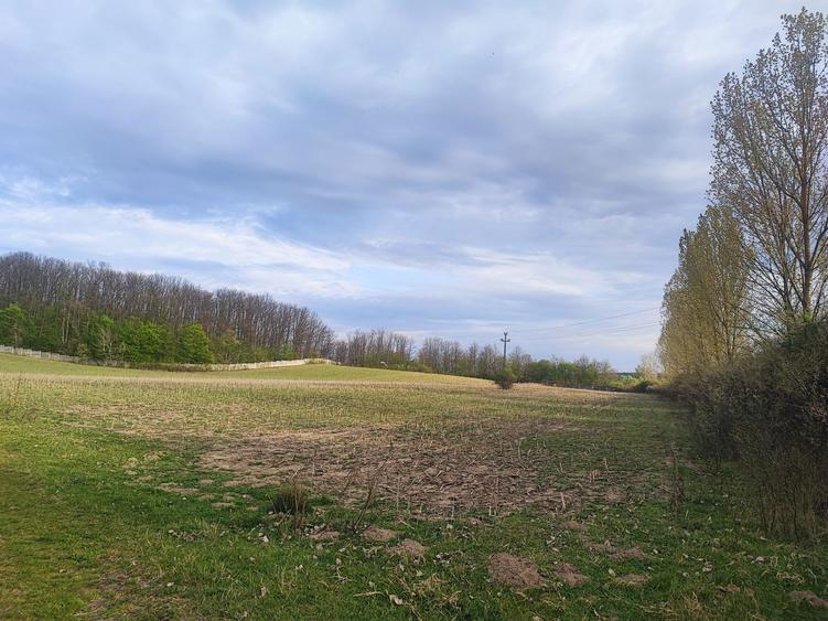 Teren imprejmuit 6,40 ha - 4