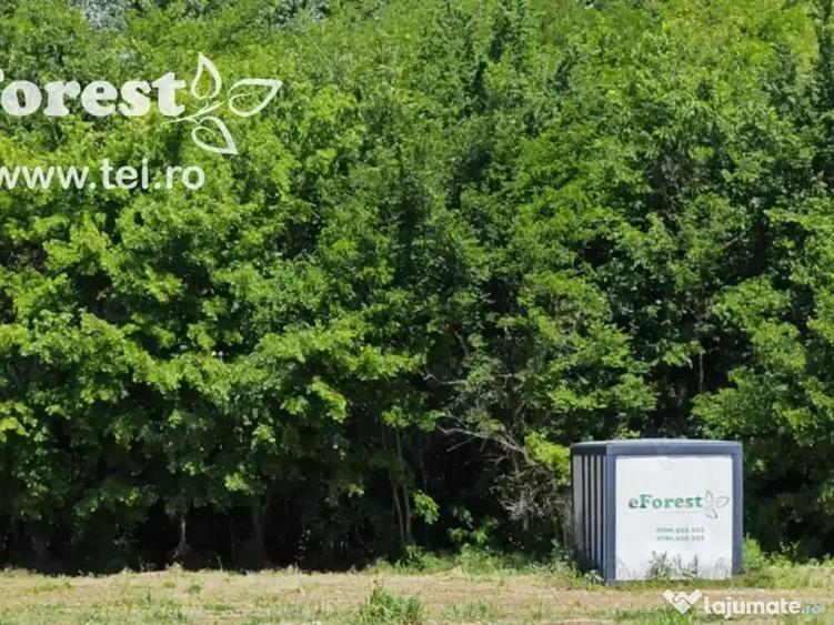 Lot lini?tit langa padure, langa Academia Titi Aur, Crevedia - 3