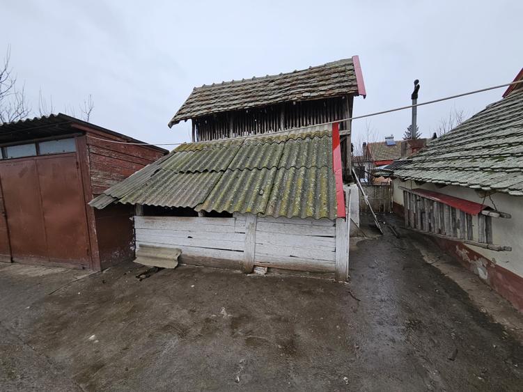 Casă individuală, cu 3 camere, în localitatea Ivanda, la 30 km de Timișoara - 23