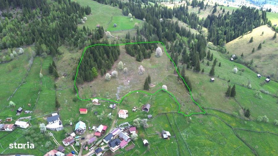 Teren 1.29 ha + 1 ha padure, acces usor - 6
