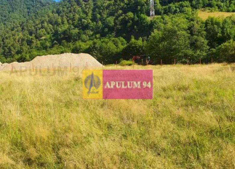 Teren Jude?ul Valcea - Brezoi, Valea lui Stan - 14